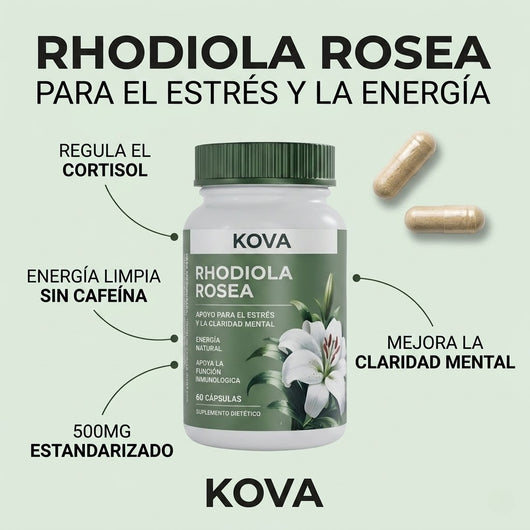 Rhodiola Rosea