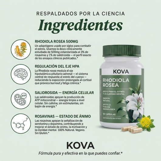 Rhodiola Rosea