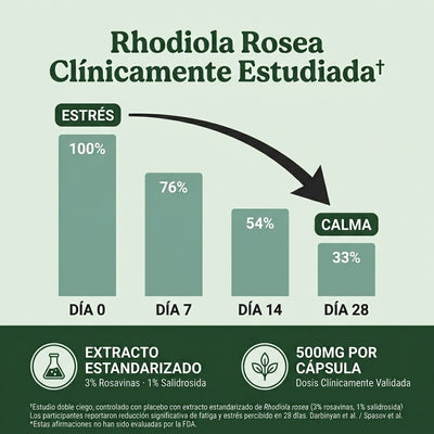 Rhodiola Rosea