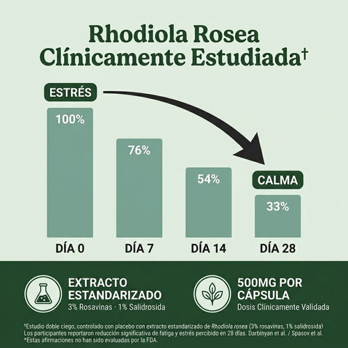 Rhodiola Rosea