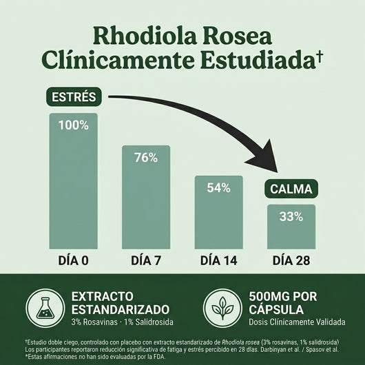 Rhodiola Rosea