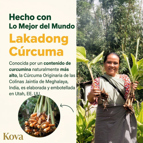 Cúrcuma Curcumina Balance
