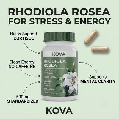 KOVA Rhodiola Rosea — 500mg Standardized