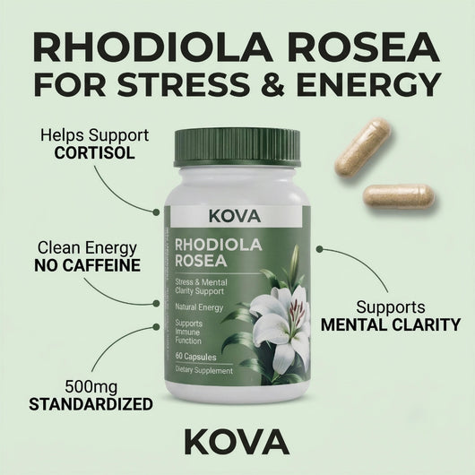 KOVA Rhodiola Rosea — 500mg Standardized