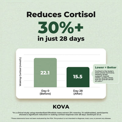 KOVA Rhodiola Rosea — 500mg Standardized
