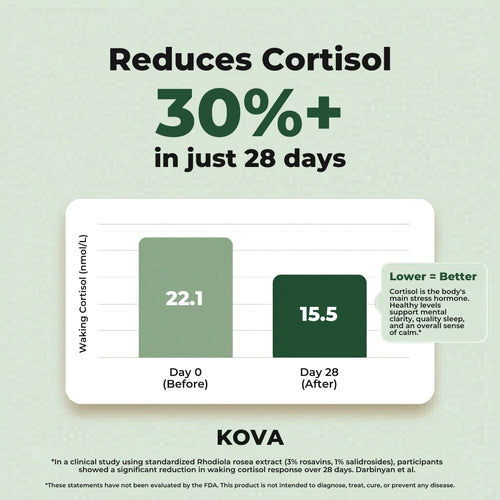 KOVA Rhodiola Rosea — 500mg Standardized