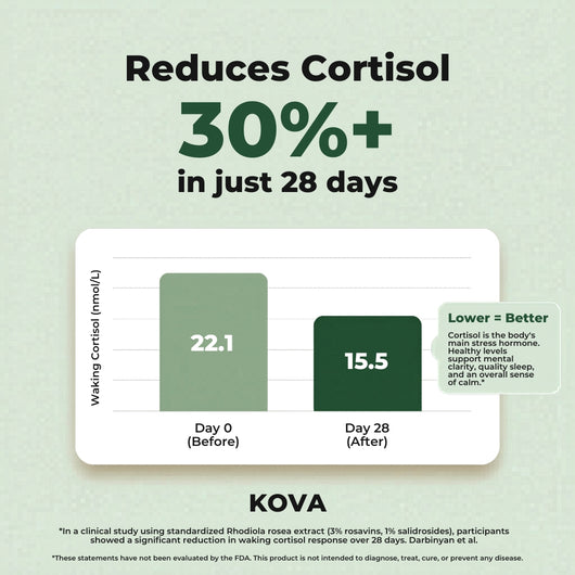 KOVA Rhodiola Rosea — 500mg Standardized
