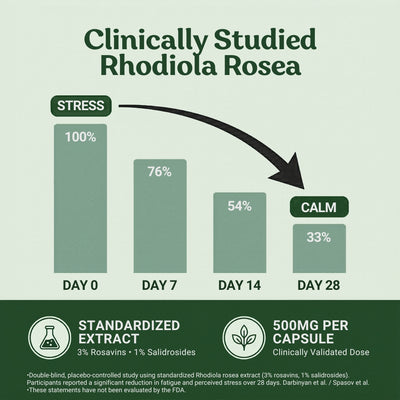 KOVA Rhodiola Rosea — 500mg Standardized