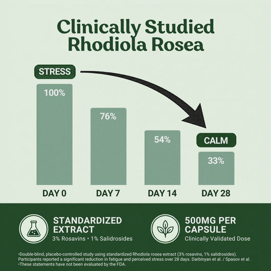 KOVA Rhodiola Rosea — 500mg Standardized
