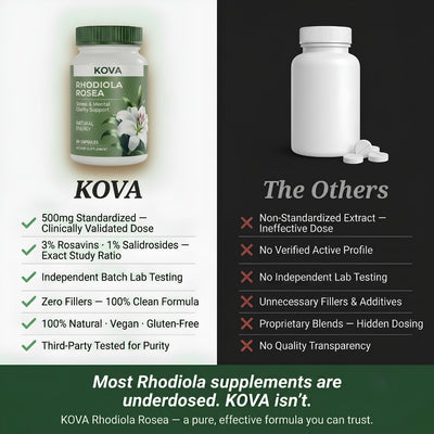KOVA Rhodiola Rosea — 500mg Standardized