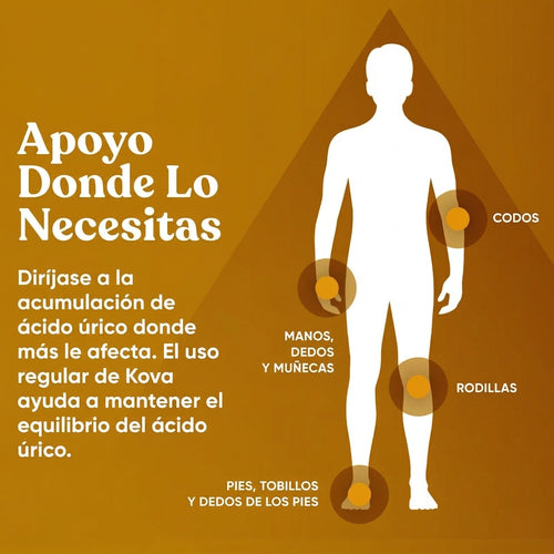 Ácido Úrico Balance